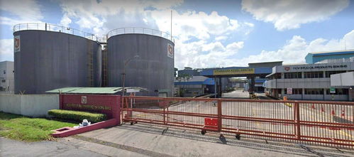 远大控股拟收购马来西亚棕榈油精炼厂，深化油脂业务全产业链战略布局